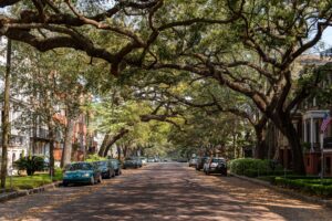 Mandarin neighborhood homes along tree-lined streets in Jacksonville FL