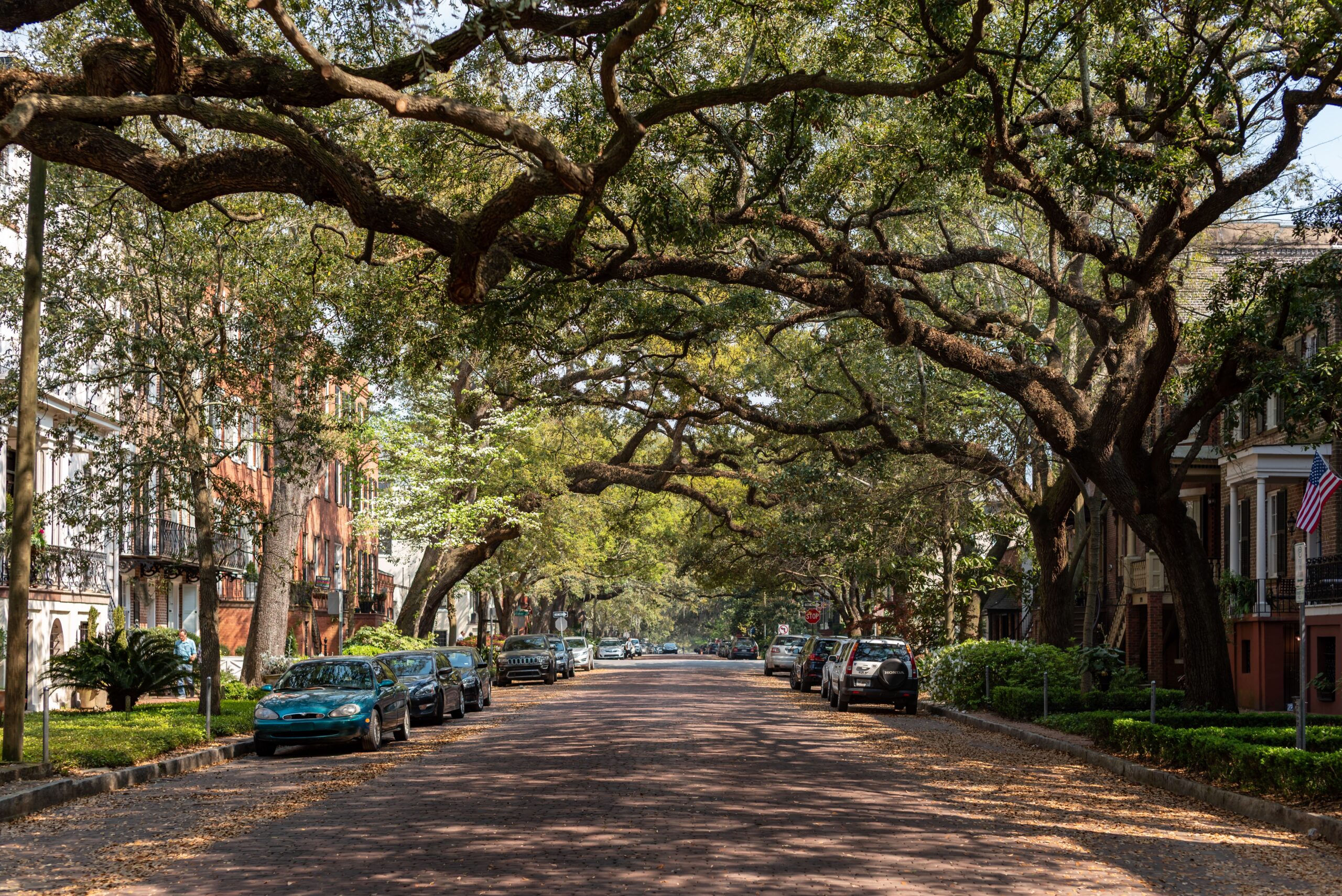 Mandarin neighborhood homes along tree-lined streets in Jacksonville FL